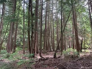 Picture of Point Roberts Parcel Number 405303-510533